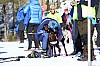 2017_3Y0A2264.jpg