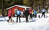 2017_3Y0A2267.jpg