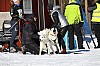 2017_3Y0A2270.jpg