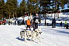 2017_3Y0A2281.jpg