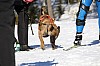 2017_3Y0A2300.jpg