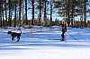2017_3Y0A2302.jpg