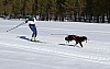 2017_3Y0A2310.jpg