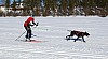 2017_3Y0A2354.jpg