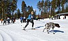 2017_3Y0A2381.jpg