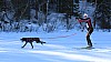 2017_3Y0A2415.jpg