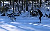 2017_3Y0A2425.jpg
