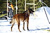 2017_3Y0A2431.jpg