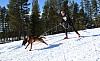 2017_3Y0A2442.jpg