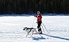 2017_3Y0A2446.jpg