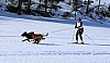 2017_3Y0A2449.jpg