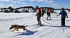 2017_3Y0A2458.jpg