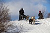 2017_3Y0A2467.jpg