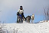 2017_3Y0A2473.jpg