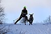 2017_3Y0A2491.jpg