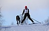 2017_3Y0A2493.jpg