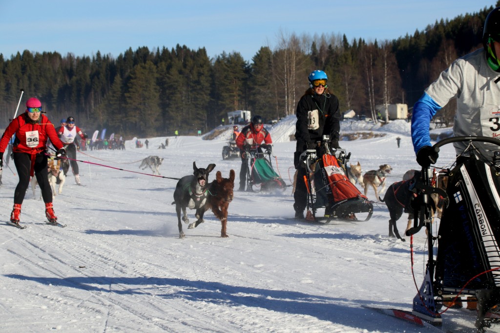 2017_3Y0A2619.jpg