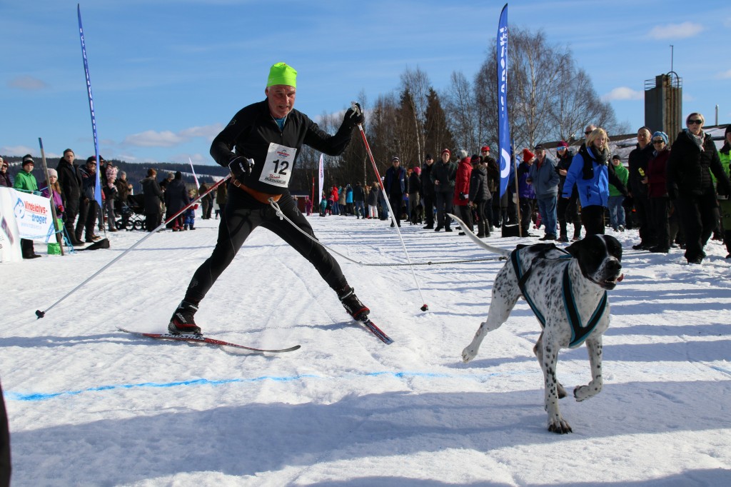 2017_3Y0A2735.jpg