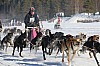 2017_3Y0A2616.jpg