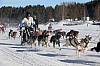 2017_3Y0A2618.jpg