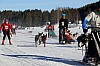 2017_3Y0A2619.jpg