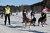 2017_3Y0A2623.jpg