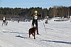 2017_3Y0A2628.jpg