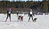 2017_3Y0A2629.jpg