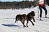 2017_3Y0A2634.jpg