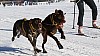 2017_3Y0A2634_L.jpg