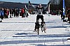 2017_3Y0A2654.jpg