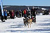 2017_3Y0A2658.jpg