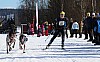 2017_3Y0A2677.jpg