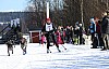 2017_3Y0A2684.jpg