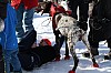 2017_3Y0A2689.jpg