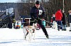 2017_3Y0A2715.jpg