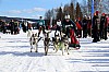 2017_3Y0A2730.jpg