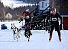 2017_3Y0A2762.jpg