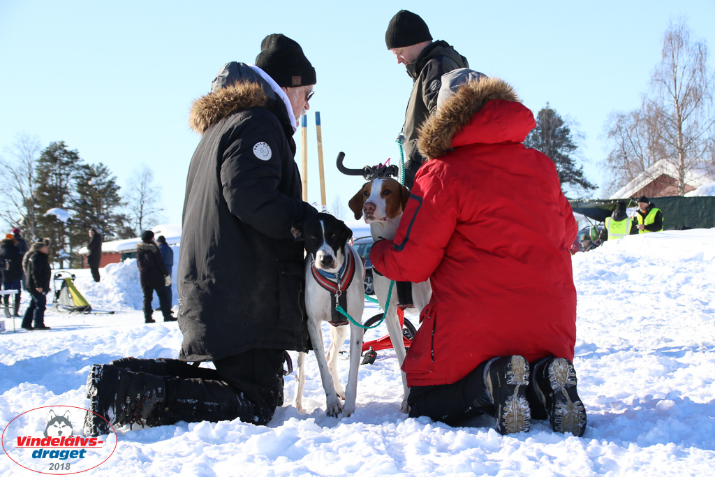 2018_Fredag-101.jpg