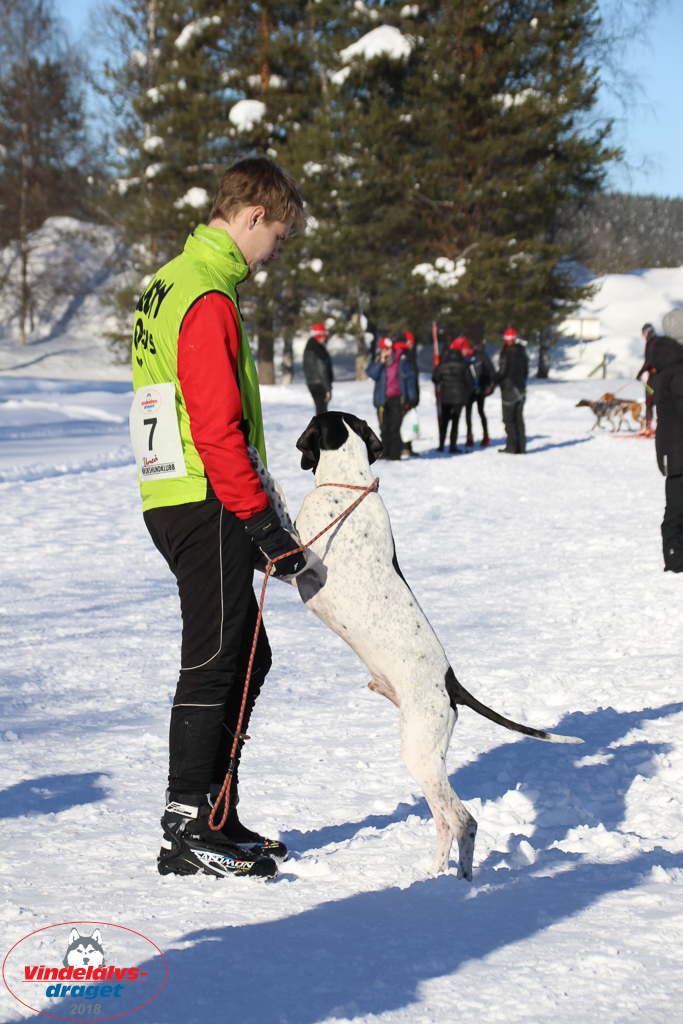 2018_Fredag-119.jpg