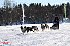 2018_Fredag-118.jpg