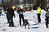 2018_Fredag-60.jpg