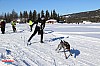 2018_Fredag-61.jpg