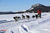 2018_Fredag-67.jpg