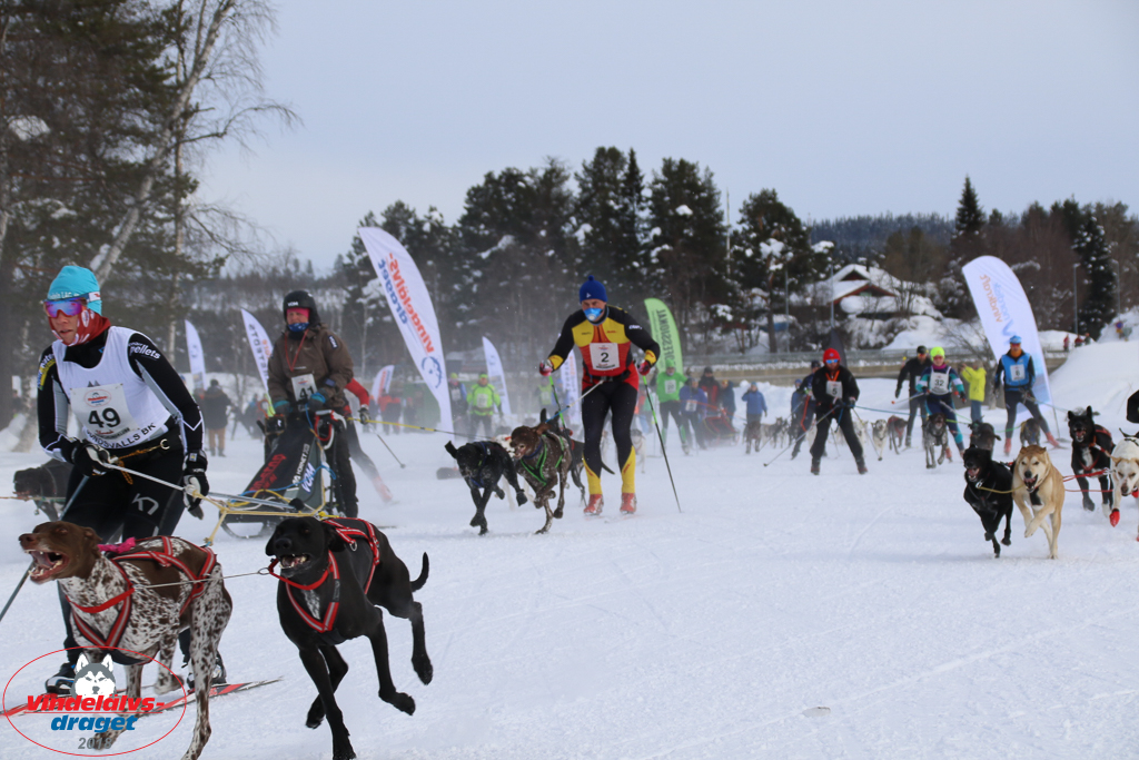 2018_Lordag-16.jpg