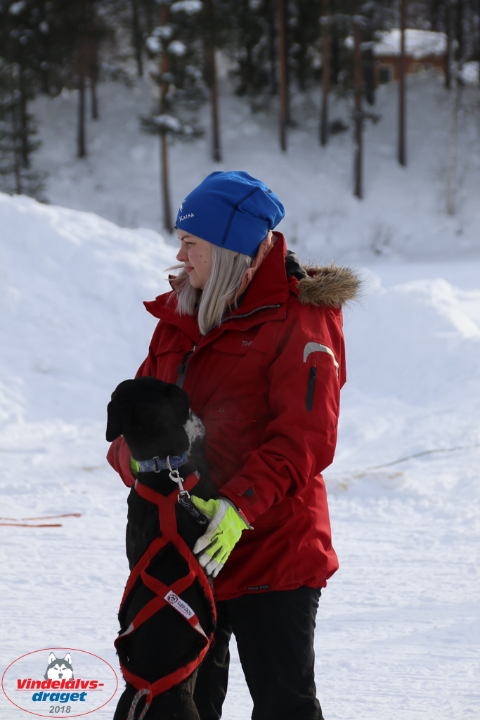 2018_Lordag-4.jpg