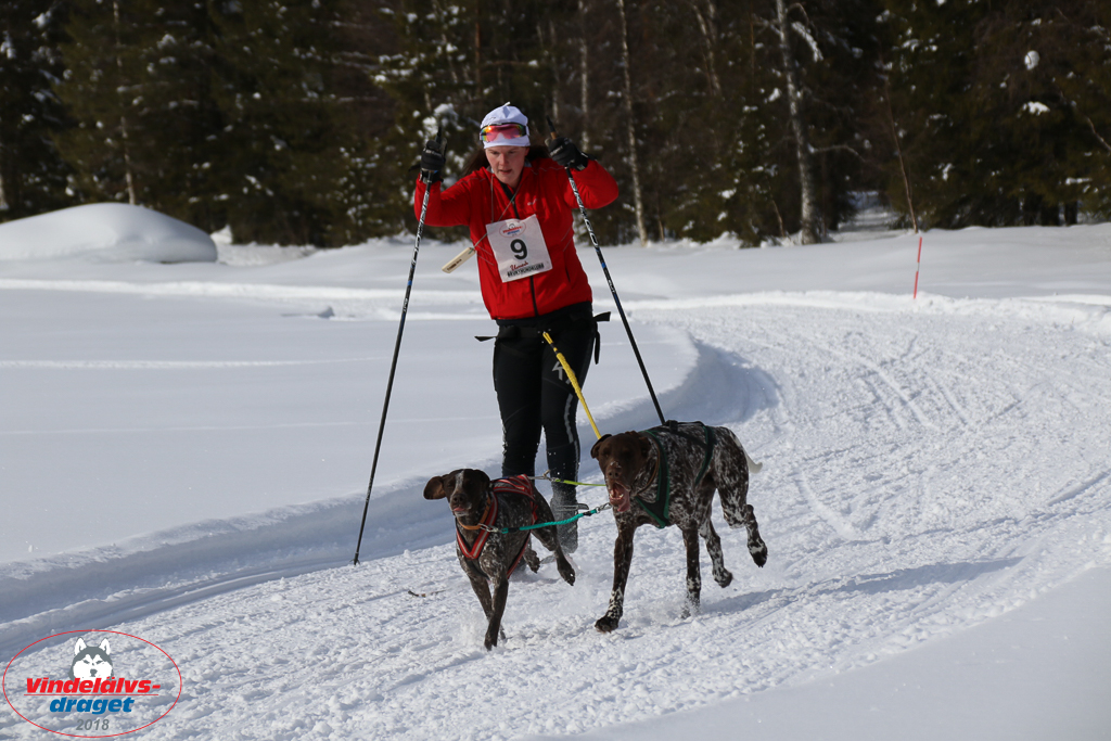 2018_Lordag-53.jpg
