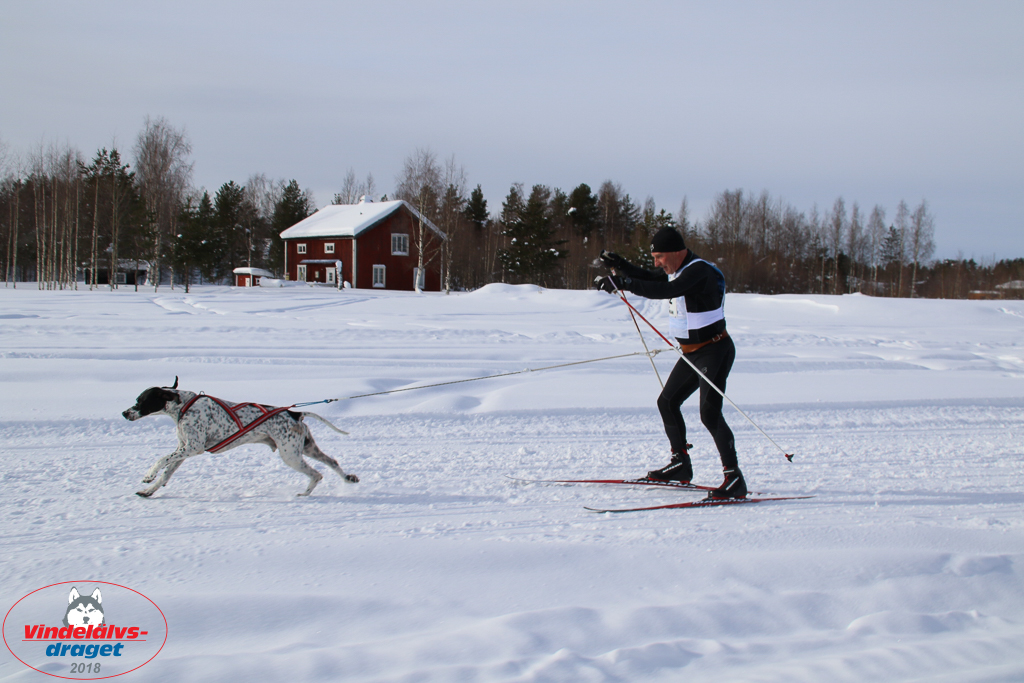 2018_Lordag-63.jpg