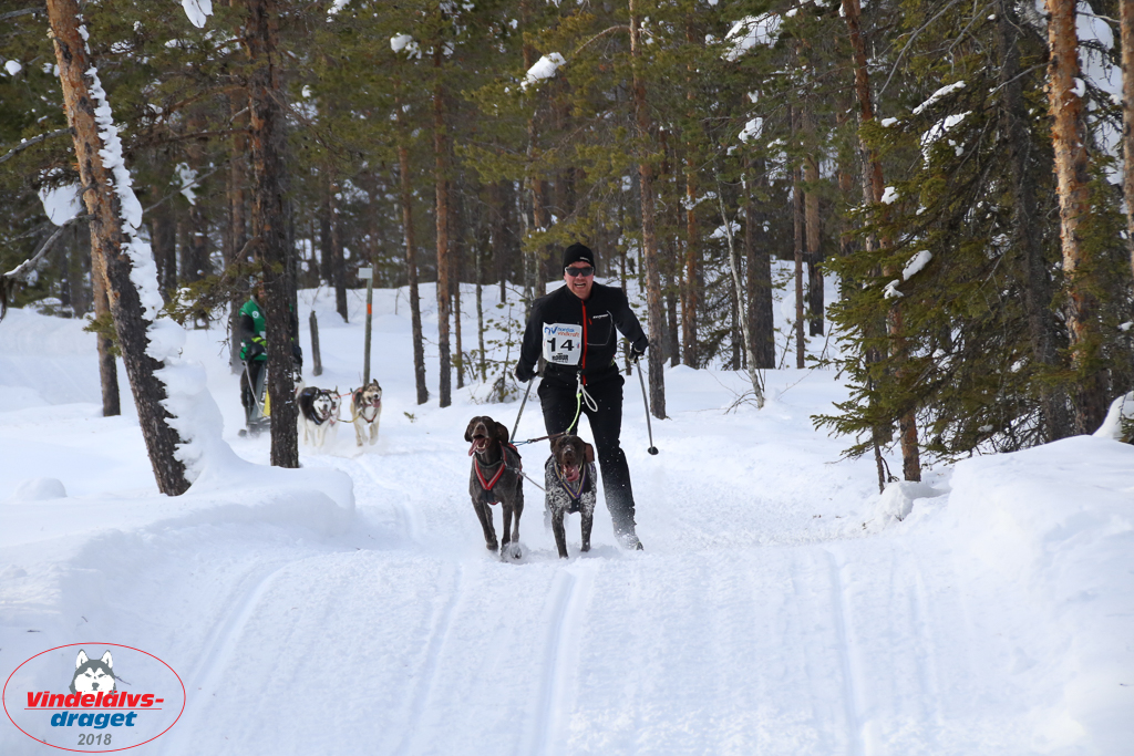 2018_Lordag-82.jpg