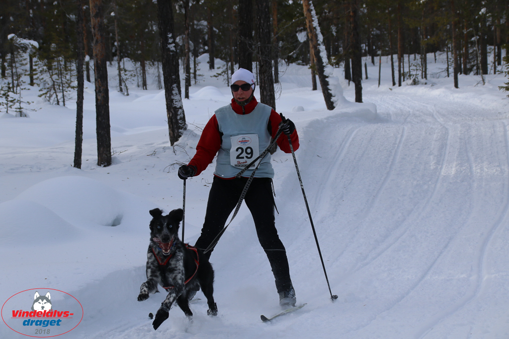2018_Lordag-84.jpg